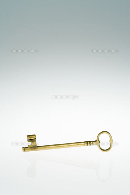 Key[11015191247]の写真素材・イラスト素材｜アマナイメージズ