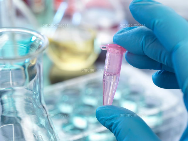 Hand Wearing Nitrile Glove Holding Eppendorf Tube の写真素材 イラスト 素材 アマナイメージズ
