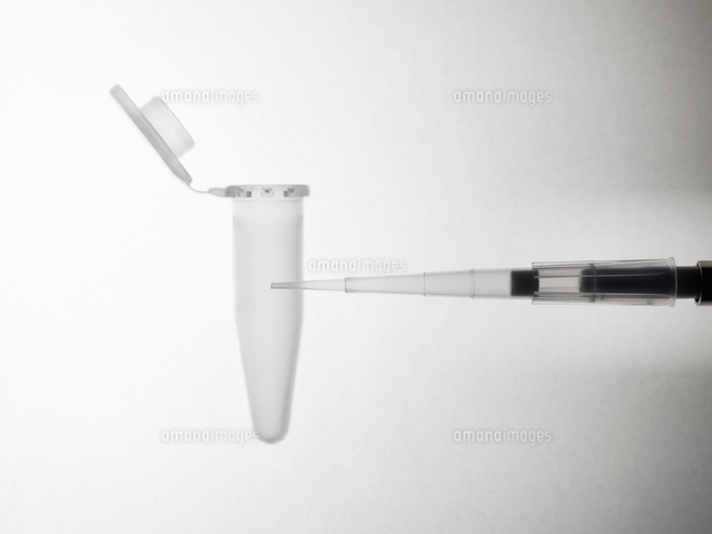 Pipette And Eppendorf Test Tube の写真素材 イラスト素材 アマナイメージズ