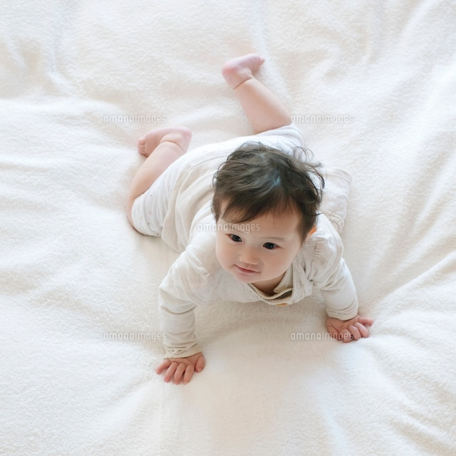 ハイハイをする赤ちゃん の写真素材 イラスト素材 アマナイメージズ