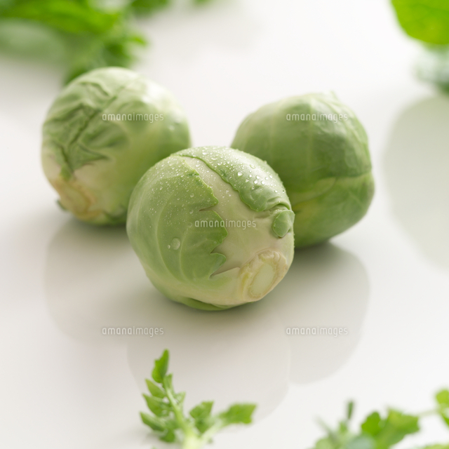 芽キャベツ の写真素材 イラスト素材 アマナイメージズ