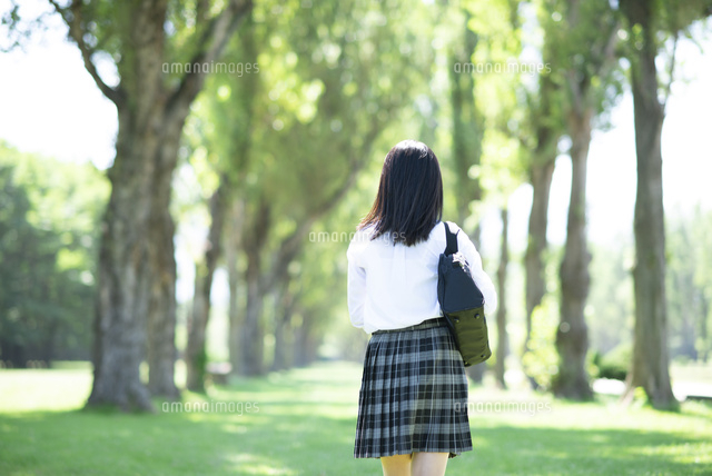ポプラ並木を歩く女子学生の後姿 の写真素材 イラスト素材 アマナイメージズ ポプラ並木を歩く女子学生の後姿 の写真素材 イラスト素材 アマナイメージズ