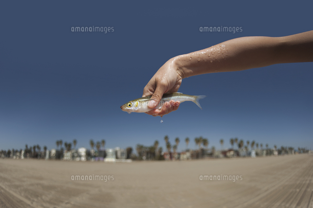 Woman holding live, dripping fish[11018054195]の写真素材・イラスト素材｜アマナイメージズ