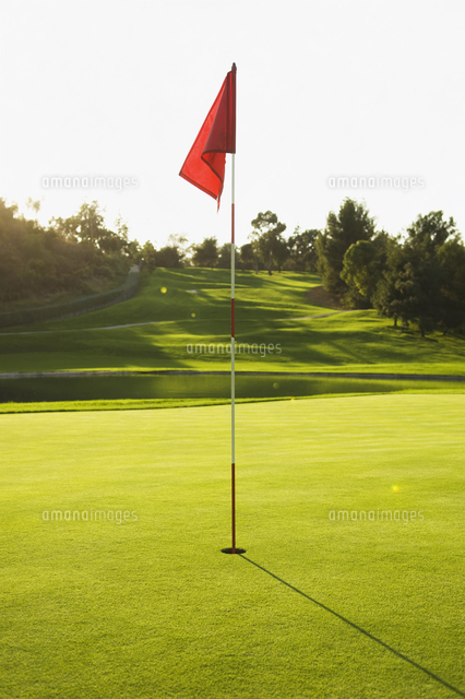 Flag in hole on golf course[11018073809]の写真・イラスト素材 