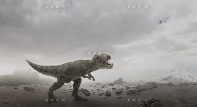 Airplane Flying Over Dinosaur In Rocky Field の写真素材 イラスト 素材 アマナイメージズ