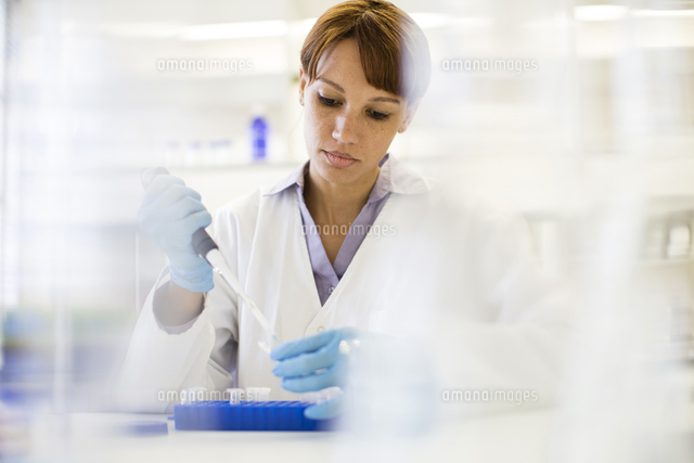 Mixed race scientist pipetting sample into tube in laboratory ...