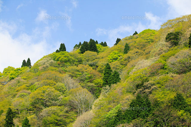 春の山 の写真素材 イラスト素材 アマナイメージズ