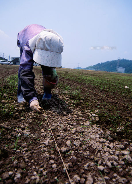 種まき の写真素材 イラスト素材 アマナイメージズ