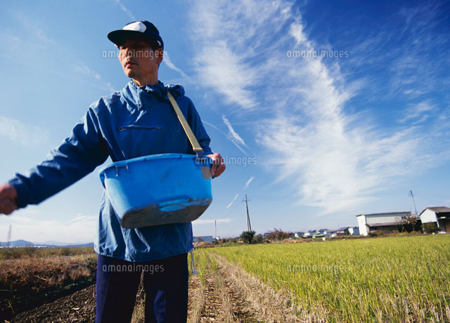 麦の種まきをする男性 の写真素材 イラスト素材 アマナイメージズ