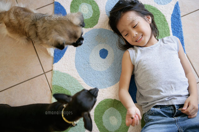 子供と犬 の写真素材 イラスト素材 アマナイメージズ