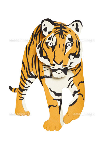 吠える虎 ペーパークラフト の写真素材 イラスト素材 アマナイメージズ