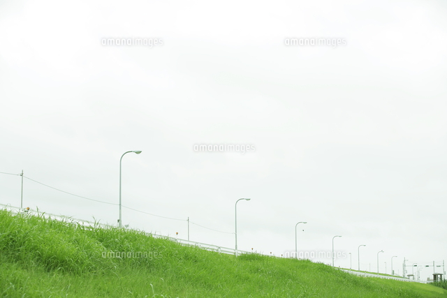 街灯と土手 の写真素材 イラスト素材 アマナイメージズ