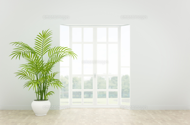 観葉植物が置かれた部屋 Cg の写真素材 イラスト素材 アマナイメージズ