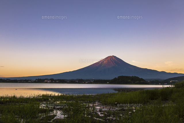 早朝の河口湖と富士山[11019036602]の写真・イラスト素材