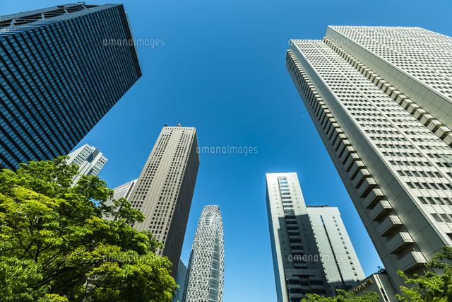 西新宿の高層ビル群と新緑 の写真素材 イラスト素材 アマナイメージズ