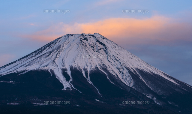 富士山 風景 画 夕焼け 夕焼けに染まる富士山と走る馬 絵画や壁飾り販売