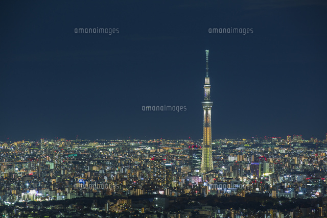 東京スカイツリーと東京の街並みの夜景 の写真素材 イラスト素材 アマナイメージズ