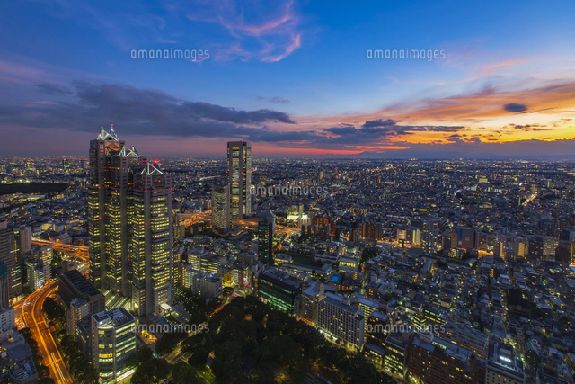 東京スカイツリーのシルエットと東京の街並み の写真素材 イラスト素材 アマナイメージズ