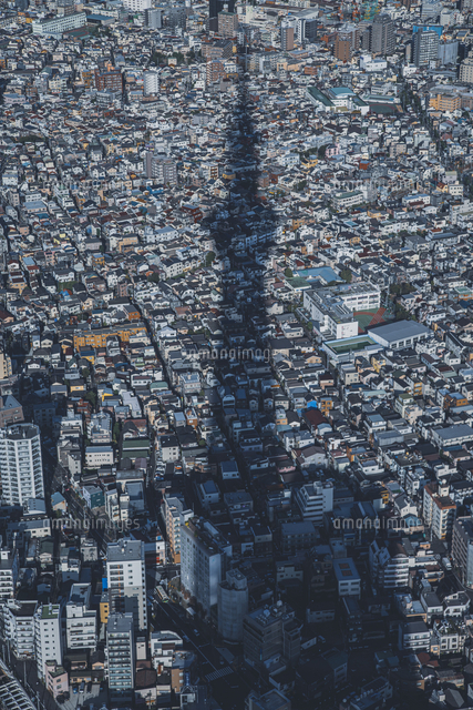 東京スカイツリーのシルエットと東京の街並み の写真素材 イラスト素材 アマナイメージズ