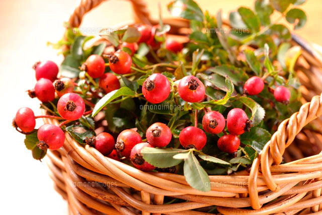 ローズヒップティー[11020000988]の写真・イラスト素材｜アマナイメージズ