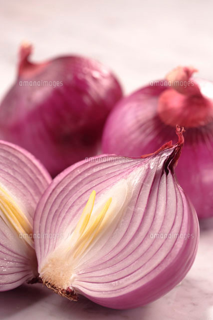 紫玉ねぎ の写真素材 イラスト素材 アマナイメージズ