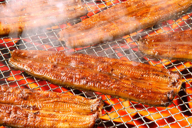 うなぎの長焼き の写真素材 イラスト素材 アマナイメージズ