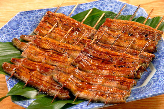 うなぎの蒲焼き の写真素材 イラスト素材 アマナイメージズ
