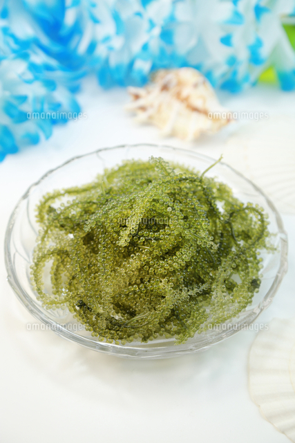 海ぶどう の写真素材 イラスト素材 アマナイメージズ