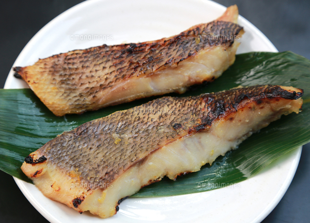 メバル の写真素材 イラスト素材 アマナイメージズ