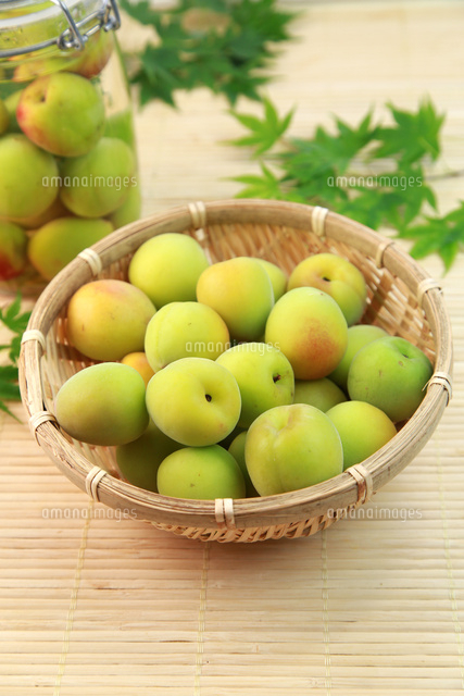 青梅 の写真素材 イラスト素材 アマナイメージズ