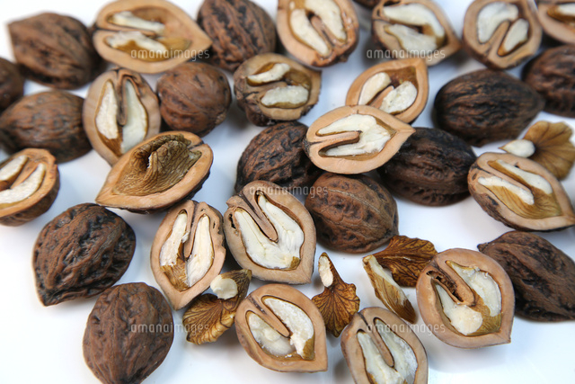 くるみ の写真素材 イラスト素材 アマナイメージズ