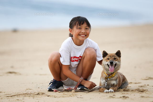 女の子と柴犬 の写真素材 イラスト素材 アマナイメージズ