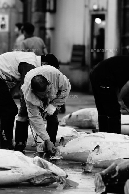 築地競り場 の写真素材 イラスト素材 アマナイメージズ