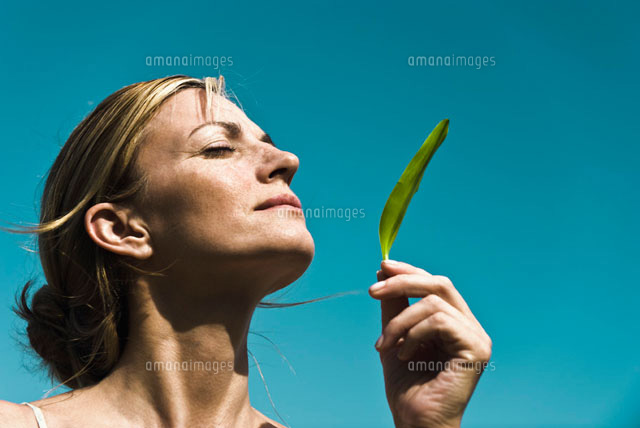 Fresh scent of nature[11025006722]の写真素材・イラスト素材｜アマナイメージズ