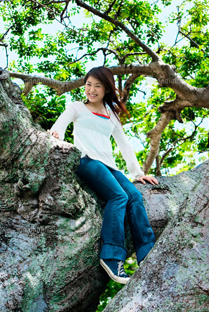 木に座る日本人女性[11032000961]の写真・イラスト素材｜アマナイメージズ
