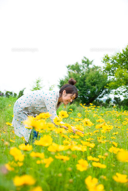 花畑で花を摘む日本人女性[11032001027]の写真・イラスト素材｜アマナ 