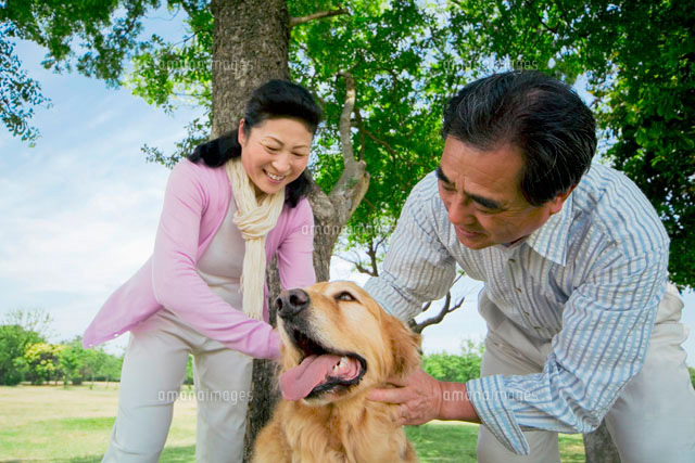 犬をなでるシニア夫婦 の写真素材 イラスト素材 アマナイメージズ