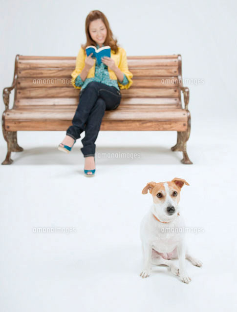 ベンチに座る女性の足元に座る犬 の写真素材 イラスト素材 アマナイメージズ