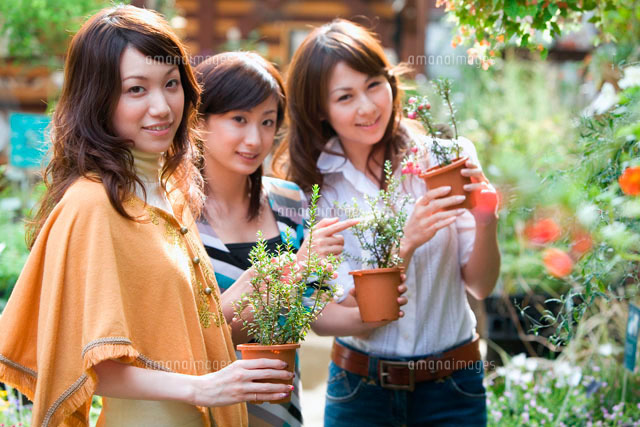 店で花を選ぶ代日本人女性3人 の写真素材 イラスト素材 アマナイメージズ