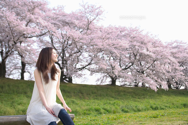 ベンチに座る女性と桜並木[11032006158]の写真・イラスト素材｜アマナ