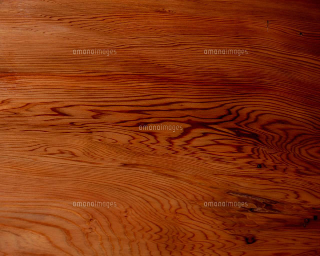 木目 屋久杉 の写真素材 イラスト素材 アマナイメージズ
