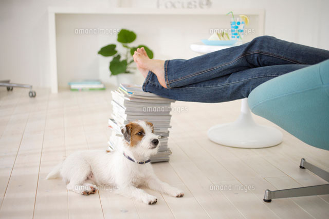 ソファに座る女性の足と犬 の写真素材 イラスト素材 アマナイメージズ