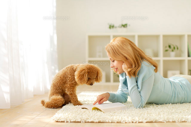 リビングで犬と戯れる女性 の写真素材 イラスト素材 アマナイメージズ