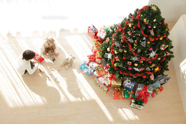 クリスマスツリーのあるリビングで遊ぶ男の子と女の子 11038008510 の写真素材 イラスト素材 アマナイメージズ