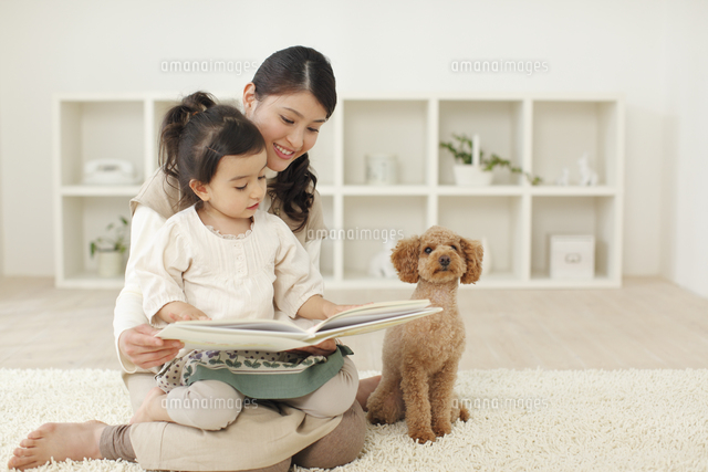絵本を読む女の子とお母さんとトイプードル の写真素材 イラスト素材 アマナイメージズ