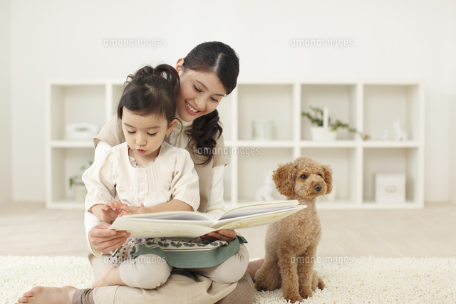 絵本を読む女の子とお母さんとトイプードル の写真素材 イラスト素材 アマナイメージズ