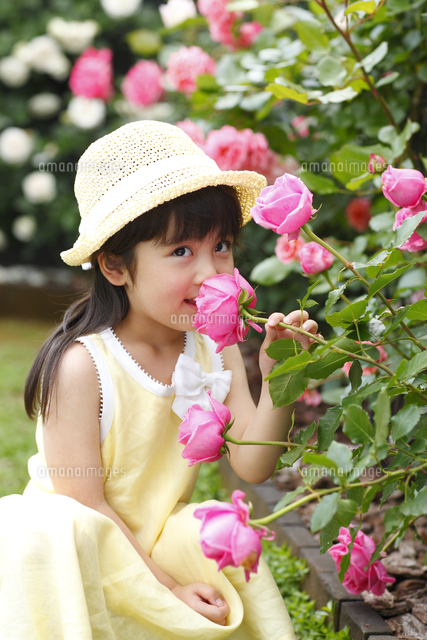 庭に咲くバラの匂いをかぐ女の子 の写真素材 イラスト素材 アマナイメージズ 庭に咲くバラの匂いをかぐ女の子 の写真素材 イラスト素材 アマナイメージズ