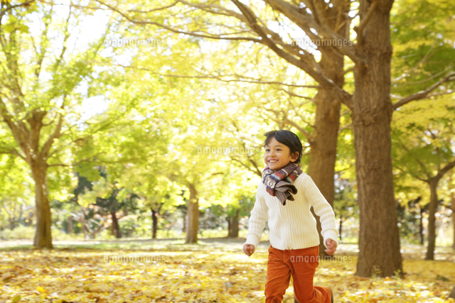 紅葉のきれいな秋の公園で遊ぶ子供 の写真素材 イラスト素材 アマナイメージズ