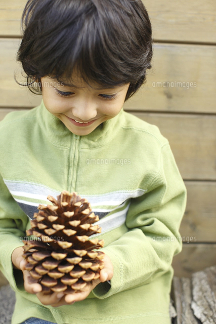 松ぼっくりと人 松ぼっくりを頭にのせる男の子[11038016649]の写真・イラスト素材
