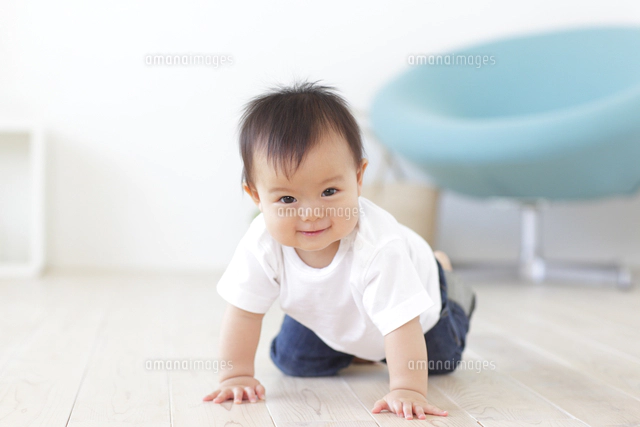 フローリングの床でハイハイをする赤ちゃん[11038016912]の写真